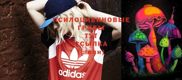 хмурый Богданович