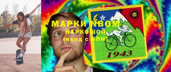 дмт Бородино