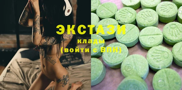 дмт Бородино
