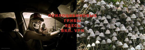 хмурый Богданович