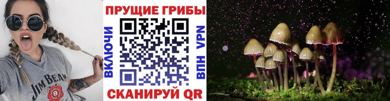Галлюциногенные грибы GOLDEN TEACHER  Обь 